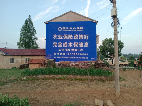 泰和县墙体广告的优劣势你知道吗？